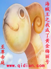 海贼王之我成了黄金梅丽号封面