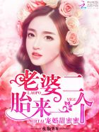 宠婚甜蜜蜜:老婆,二胎来一个