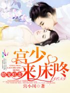 婚宠鲜妻：宫少，来床咚封面