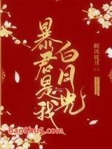 暴君是我白月光封面